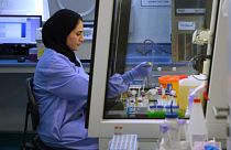 Ciência, genes e desporto revolucionam investigação no Qatar