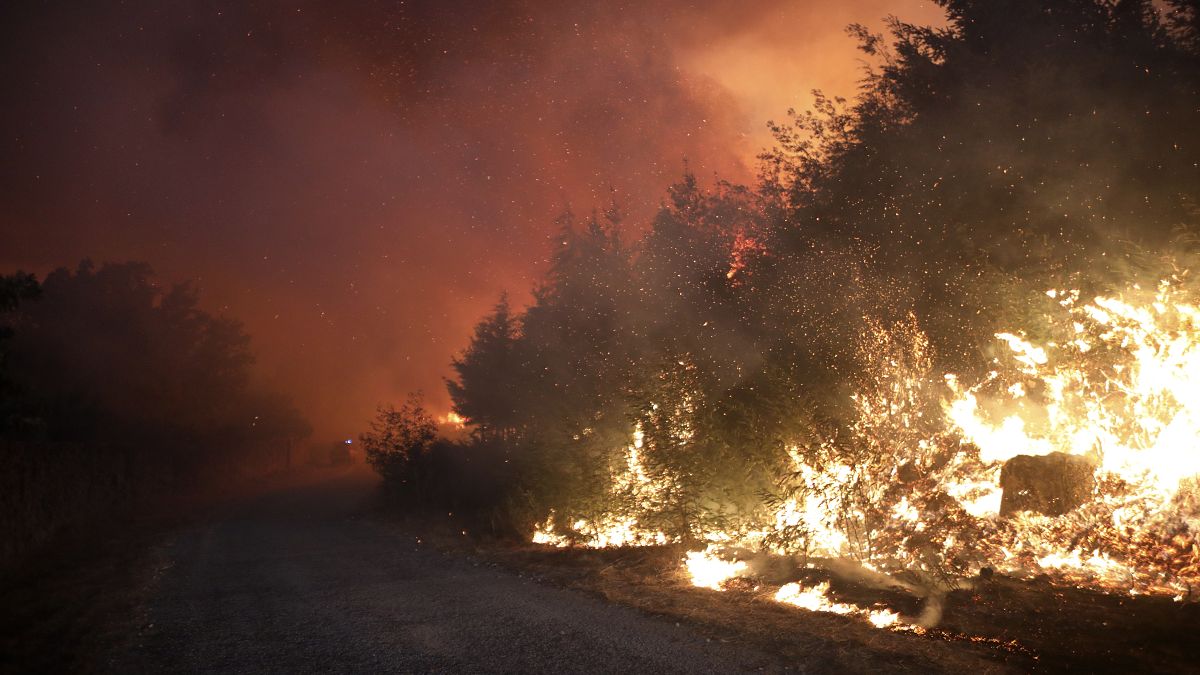 Лесной пожар у дороги в национальном парке Серра-де-Эштрела в Португалии 18 августа 2022