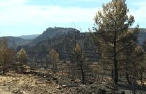 En la provincia española de Valencia el incendio forestal es controlado
