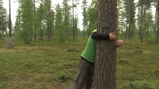 Bäume zum Umarmen in Finnland
