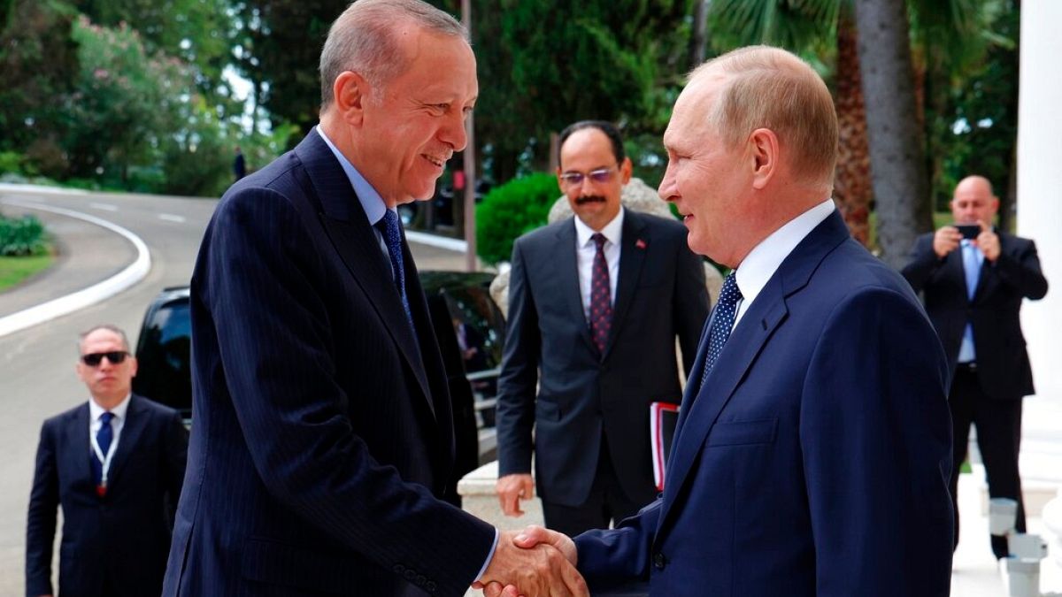 Erdoğan ve Putin 5 Ağustos'ta Soçi'de bir araya gelerek iki ülke arasında işbirliğinin artırılması konusunda anlaştı