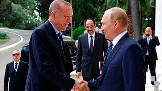 Erdoğan ve Putin 5 Ağustos'ta Soçi'de bir araya gelerek iki ülke arasında işbirliğinin artırılması konusunda anlaştı