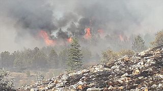 Elazığ'ın Keban ilçesinde çıkan orman yangını kontrol altına alındı