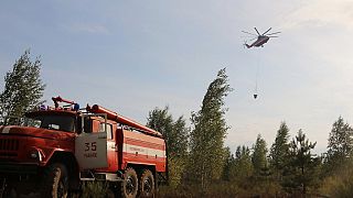 Wildfires have been burning in the Ryazan region near Moscow for several days.