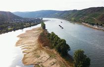 Almanya'da Ren Nehri'nde azalan su seviyeleri nakliye şirketlerini zora soktu