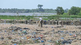 Côte d'Ivoire : polluée, "la perle des lagunes" a perdu de son éclat