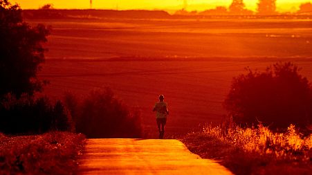 A man uses cool morning hours for a run on a small road in the outskirts of Frankfurt, Germany, July 18, 2022.