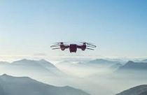 Antwerpfen: Drohne transportiert zum ersten Mal menschliches Gewebe