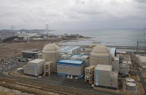 Güney Kore'deki nükleer enerji santralleri, Kori 1 (sağ), ve Shin Kori 2