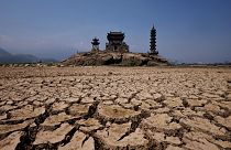A view of pagodas on Louxingdun island that usually remain partially submerged under the water of Poyang Lake.