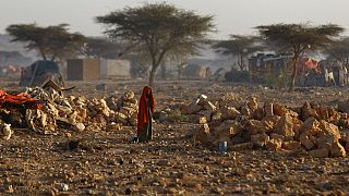 Corne de l'Afrique : une 5e saison des pluies consécutive ratée