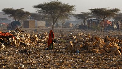 Corne de l'Afrique : une 5e saison des pluies consécutive ratée