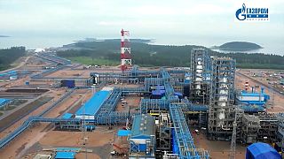 Planta de gas natural licuado de Portovaya, Rusia