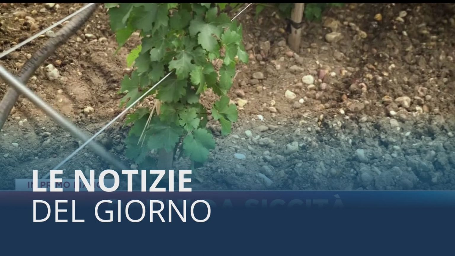 Le notizie del giorno | 26 agosto - Serale