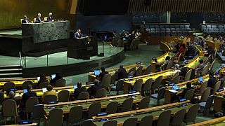 ΟΗΕ, συνθήκη NPT