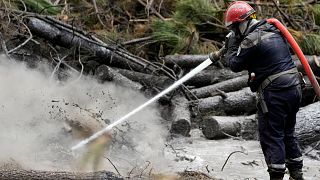 A firefighter sprays water to put out the remains of fires in a burnt forest, in Hostens, in southwestern France.