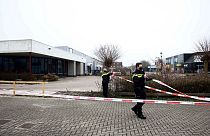 Hollanda'da sürücüsü alkollü tır mangal partisine daldı: 6 ölü (arşiv)
