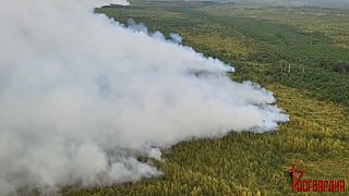 La colonna di fumo che si innalza nel cielo a causa di un incendio nella regione di Rjazan
