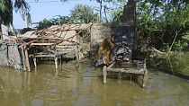 Casa sumergida por las fuertes precipitaciones en Pakistán