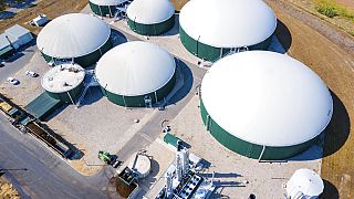 Die Biogasanlage in Torgelow (Mecklenburg-Vorpommern) soll vergrößert werden und bis 2023 doppelt so viel Energie produzieren.