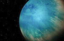 Artistic rendition of the exoplanet TOI-1452 b