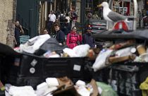 Grassmarket-Viertel in Edinburgh im August 2022 - Mülltonnen quellen über