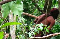 Une vidéo de l'homme publiée en 2018 par les autorités locales consacrées aux indigènes (FUNAI) - Capture vidéo