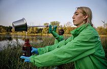 Nina Noelle und Julios Kontchou von Greenpeace Deutschland sammeln Wasserproben an der Oder nahe der polnischen Stadt Bytom Odrzański, 24. August 2022.