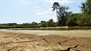 Archives : un cours d'eau pratiquement à sec près de Monfort en Chalosse, dans le département du sud-ouest de la France des Landes, le 3 août 2022