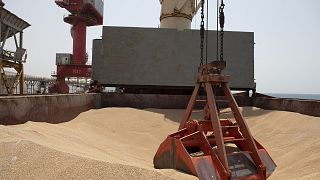 23 000 tonnes de blé ukrainiens débarquent à Djibouti