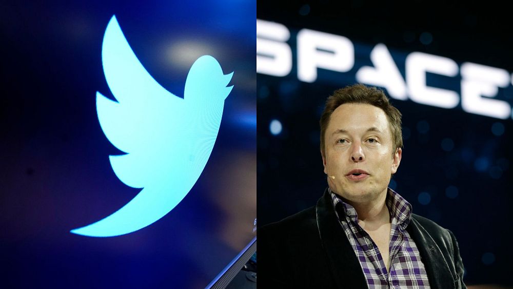 Everything You Need To Know About The Elon Musk Vs Twitter Saga | Euronews