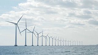 Wind farms in the Baltic sea