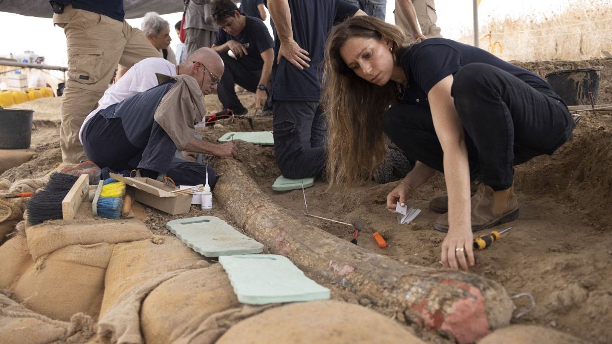 کشف عاج فیل متعلق به دوران ماقبل تاریخ در اسرائیل