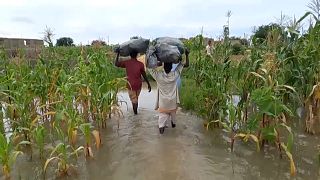 Le nord du Nigeria face à des inondations meurtrières
