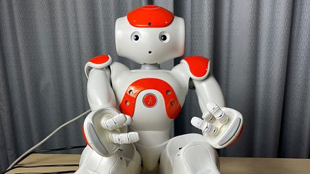 The Nao robot used in the study