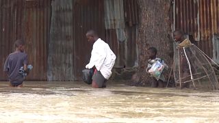 Deadly floods destroy houses and farmland in northeastern Nigeria