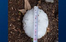 Some hail stones were measured around 10 centimetres in diameter.