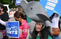 A Manille, ils se mobilisent pour la défense des dauphins.