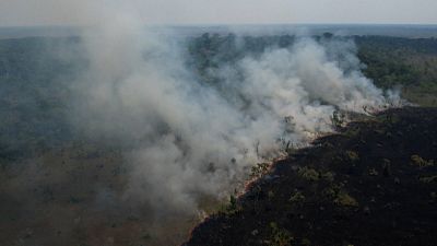 النيران تلتهب الغابات المطيرة في البرازيل، علما بأن الكثير من الحرائق يتم إضرامها عمدا، حسب الخبراء.