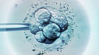 Los embriones de la FIV se congelan cada vez más durante unos meses -o años- antes de descongelarlos e implantarlos para el embarazo. 