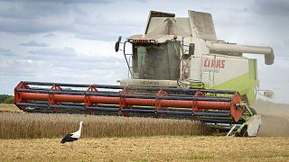 Ukrayna'nın ihracatı eylül ayında tahıl koridoru sayesinde bir önceki aya göre yüzde 23 arttı