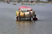 Flutopfer in der Provinz Sindh versuchen an diesem Samstag ihr Hab und Gut in Sicherheit zu bringen
