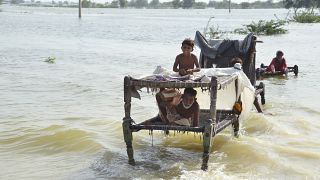 Plusieurs millions de personnes ont dû fuir la montée des eaux, notamment dans le sud du pays.