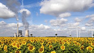 A field of sunflowers is within sight of the Mehrum coal-fired power station, wind turbines and high-voltage lines in Mehrum, Germany, Monday, Aug. 3, 2020.