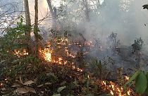 Incêndio perto de Porto Velho, capital do estado da Rondónia