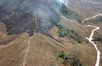 L'Amazonie est victime de nombreux feux de forêt cet été.