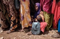 Allarme carestia in Somalia. La FAO: "Agire subito o sarà peggio del 2011. Si rischiano oltre 200.000 morti"