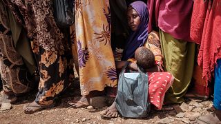 Allarme carestia in Somalia. La FAO: "Agire subito o sarà peggio del 2011. Si rischiano oltre 200.000 morti"