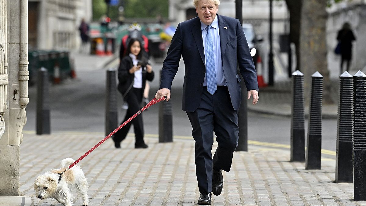 Boris Johnson mit Hund Dylan