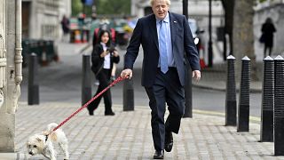 Boris Johnson mit Hund Dylan